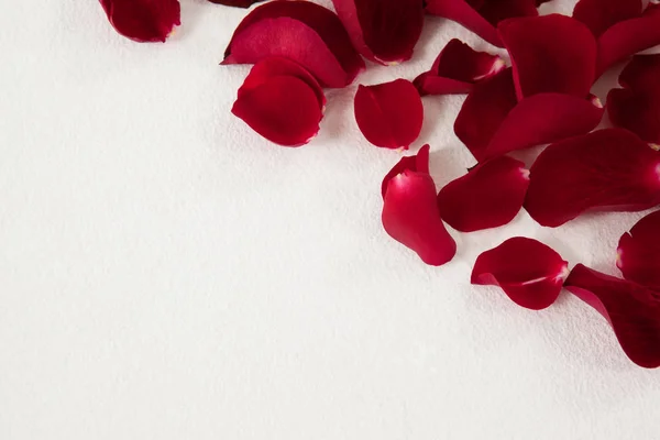 Close-up of rose petals — Stock Photo, Image