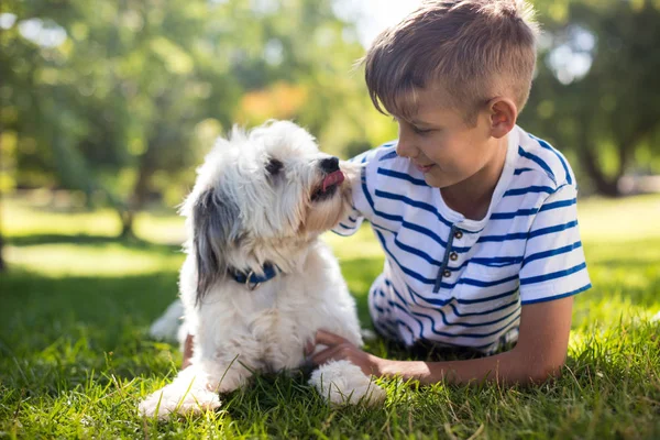 Boy dengan anjing di taman — Stok Foto