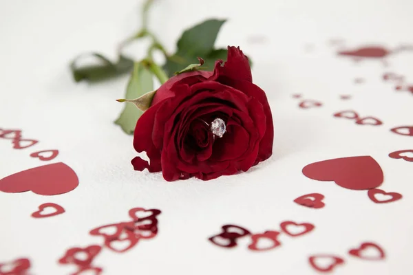 Rose avec une bague en diamant par décoration en forme de coeur — Photo