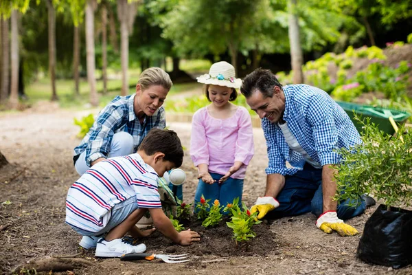 Happy family gardening together