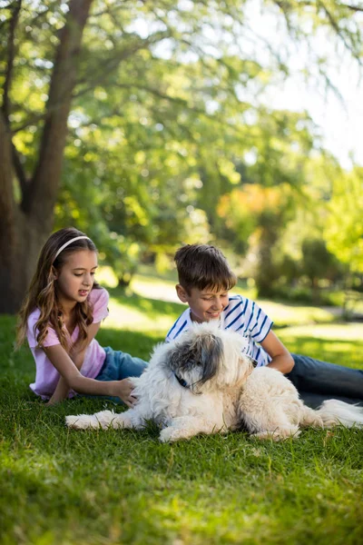 Boy and girl with dog in park — Stock Photo, Image