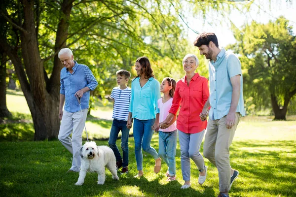 Lycklig familj njuter i park — Stockfoto