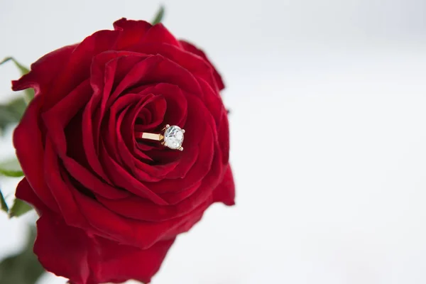 Алмазне кільце, що зберігається в червоній троянді — стокове фото
