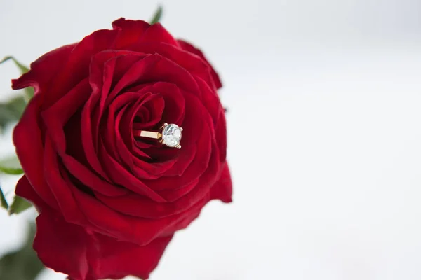 Anillo de diamantes guardado en rosa roja — Foto de Stock