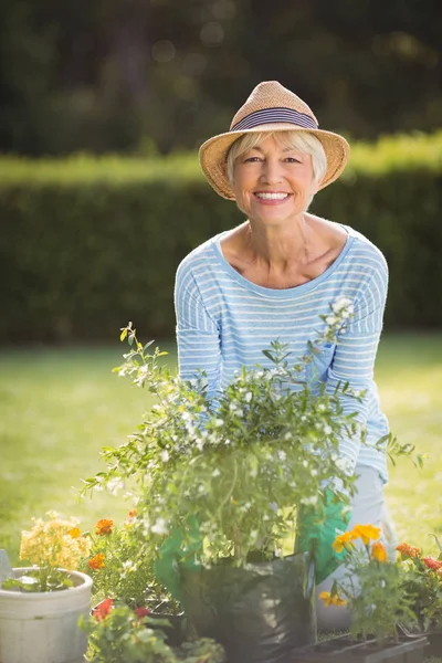 Mulher sênior jardinagem — Fotografia de Stock