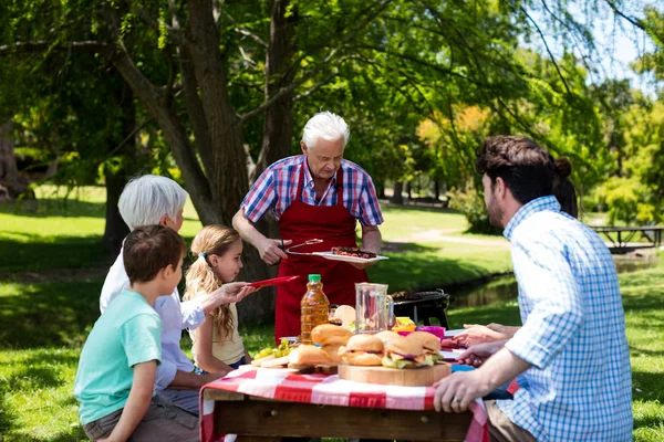 Homem sênior servindo churrasco para a família no parque — Fotografia de Stock