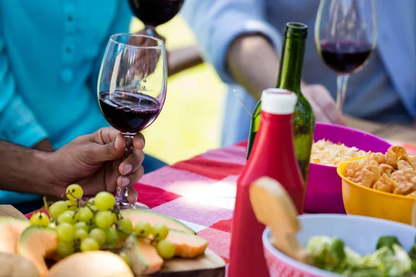 Familia comiendo y copas de vino en el parque — Foto de Stock