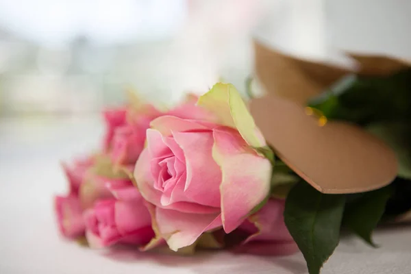 Ett gäng rosa rosor — Stockfoto