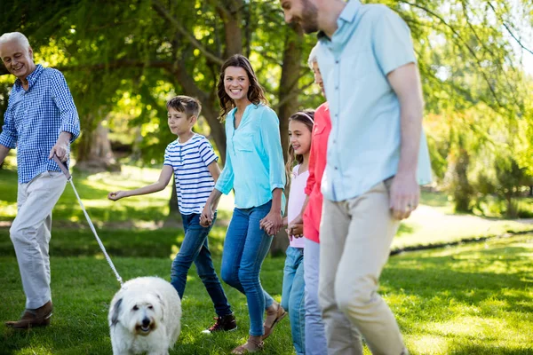 Lycklig familj njuter i park — Stockfoto