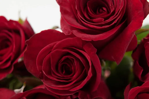 Strauß roter Rosen — Stockfoto