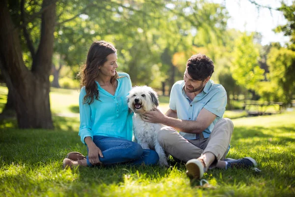 Gelukkige paar met de hond in park — Stockfoto