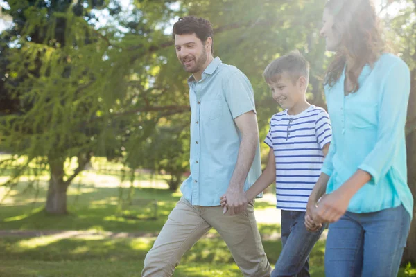 Lycklig familj med hand i hand vandrar i parken — Stockfoto