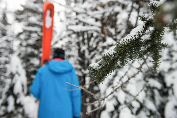 スキーヤーのスキーと雪の上を歩いて山を覆われて — ストック写真