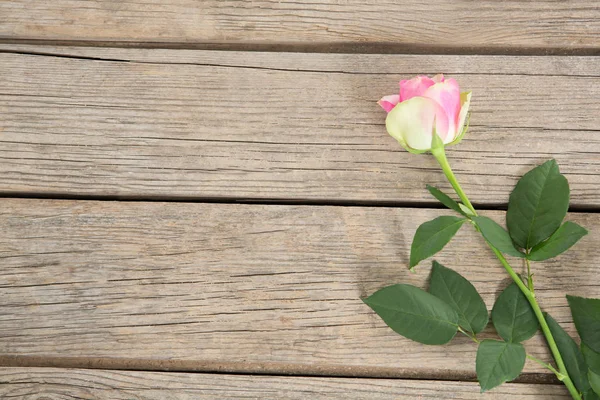 Pink rose on wooden background — Stock Photo, Image