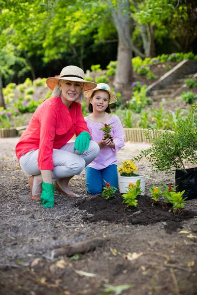 Mormor och barnbarn trädgårdsskötsel — Stockfoto