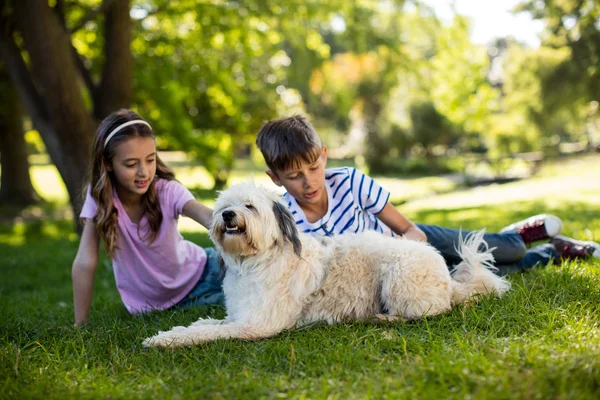 Menino e menina com cão no parque — Fotografia de Stock