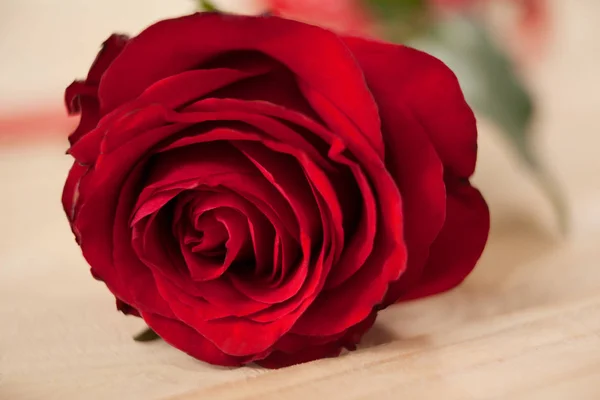 Rosa vermelha contra fundo de madeira — Fotografia de Stock
