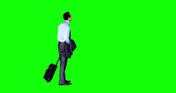Hombre de negocios de pie con equipaje — Vídeos de Stock