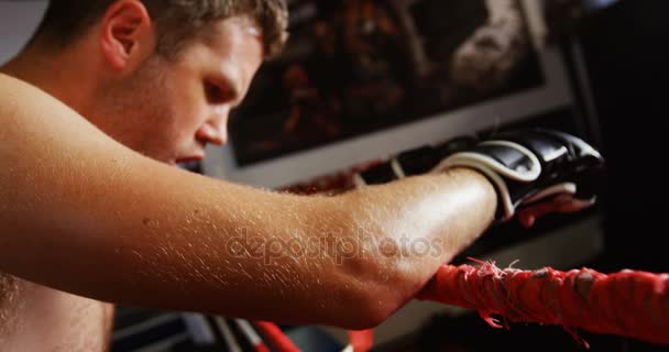 Boxeador masculino cansado parado en el ring — Vídeos de Stock