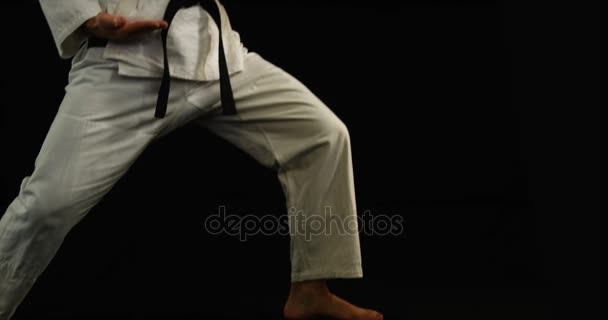 Homem praticando karatê — Vídeo de Stock