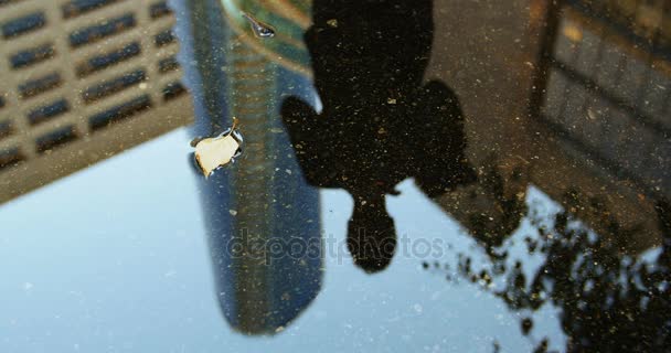 Reflet d'un homme d'affaires dans la flaque d'eau — Video