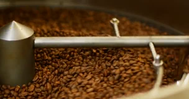 Coffee beans poured inside coffee roasting machine — Stock Video