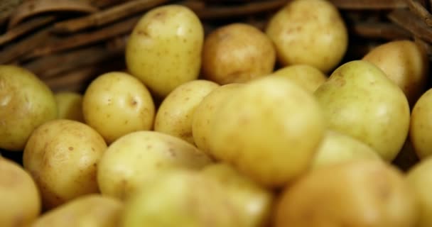 Primer plano de las patatas crudas en la cesta — Vídeo de stock