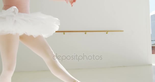 Балерина занимается балетным танцем — стоковое видео