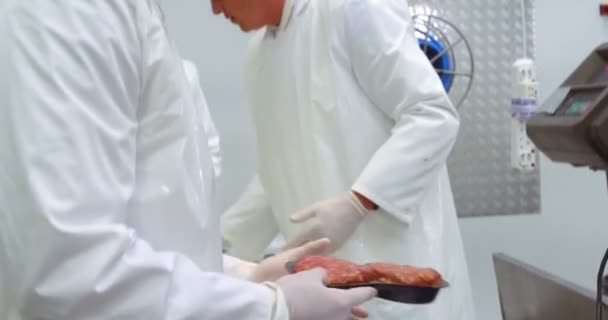 Bouchers vérifiant le poids de la viande à l'usine de viande — Video