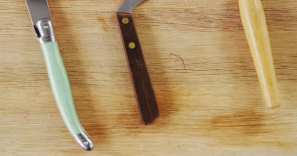 Diferentes tipos de cuchillos — Vídeo de stock