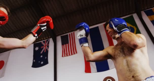 Dos boxeadores practicando en el ring de boxeo — Vídeos de Stock