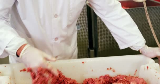 Rzeźnik, mieszanie mięsa mielonego w pojemniku — Wideo stockowe