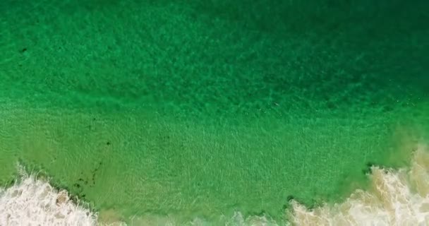 Aerial of beautiful beach — Stock Video