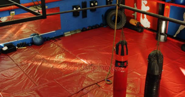 Штампувальна сумка для боксу — стокове відео