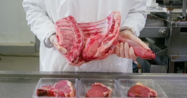 Carnicero sosteniendo carne roja — Vídeo de stock