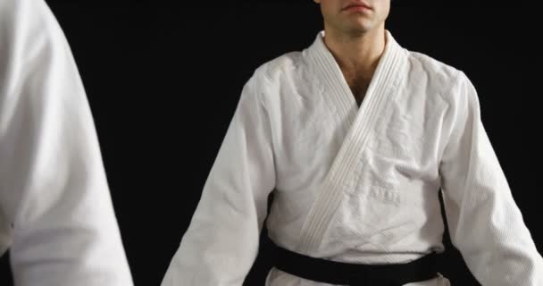 Männer üben Karate — Stockvideo