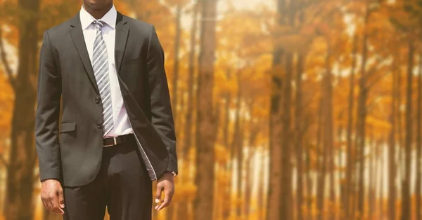 Uomo d'affari Torso nella foresta — Foto Stock