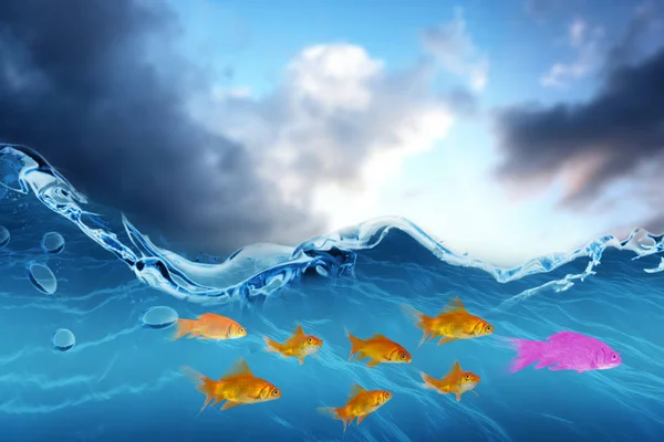 Золотая рыбка против облачного неба — стоковое фото