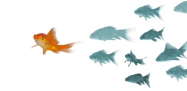 3D Goldfish swimming — Stock Photo, Image