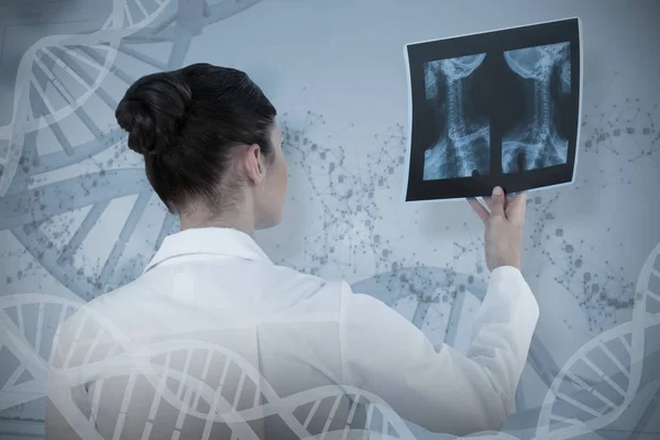 Female doctor checking x-ray report — Stock Photo, Image