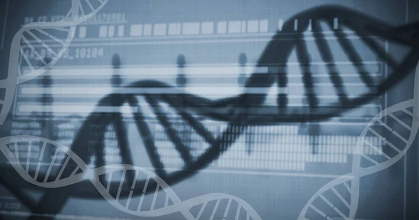 Informationen zur genetischen Forschung auf dna — Stockfoto