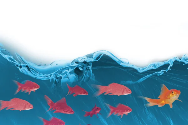 Pesce rosso 3D sullo sfondo bianco — Foto Stock
