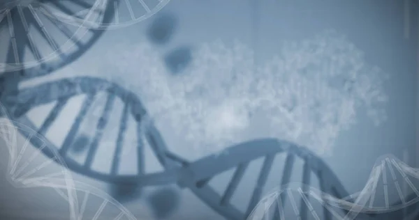 Patrón de ADN rojo en la pantalla — Foto de Stock
