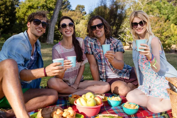 Freunde picknicken im Park — Stockfoto