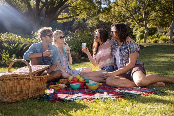 Freunde picknicken im Park — Stockfoto