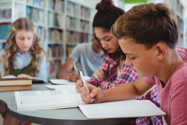 Koledzy uprzejmy studia w bibliotece — Zdjęcie stockowe