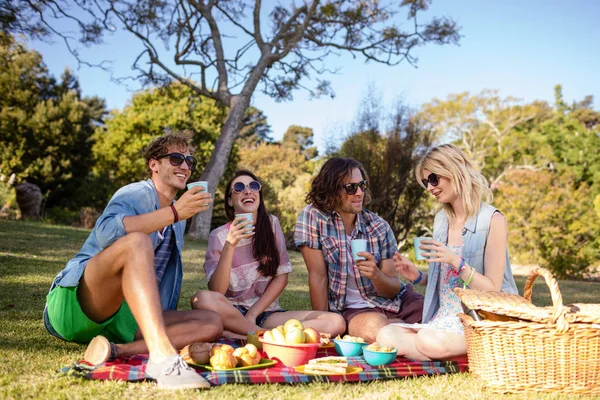 Друзья устраивают пикник в парке — стоковое фото