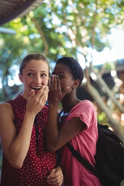 Schoolgirl whispering in her friends ear — Stock Photo, Image