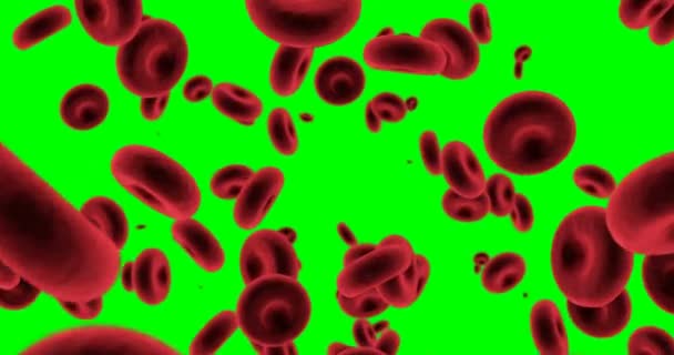 Digital generated red blood cells against green background — Stock Video