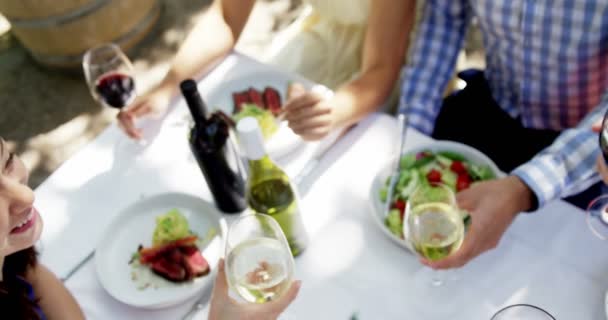 Grupo de amigos brindando copas de vino — Vídeos de Stock